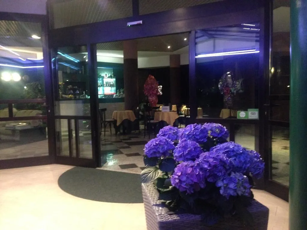 Hotel Plaza Дезенцано-дель-Гарда 3*,
